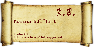 Kosina Bálint névjegykártya